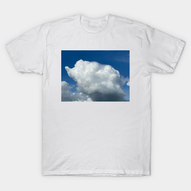 Elephant shape cloud with pileus T-Shirt by Yenz4289